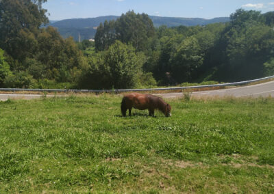 Vilarchao Apartamentos